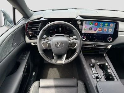 2026 Lexus RX — photo 18 view