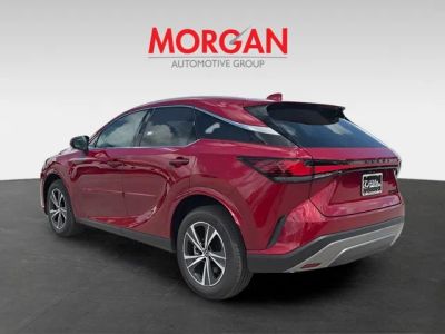 2026 Lexus RX — detail view