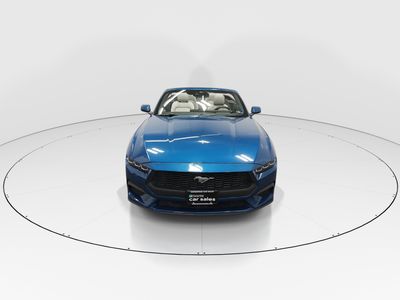 2024 Ford Mustang - Photo 2