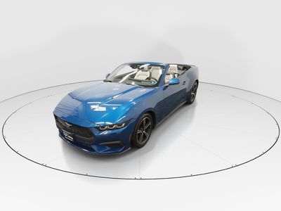 2024 Ford Mustang - Photo 3