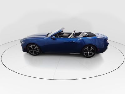 2024 Ford Mustang - Photo 4
