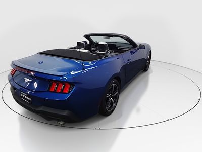 2024 Ford Mustang - Photo 7