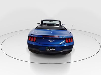 2024 Ford Mustang - Photo 6