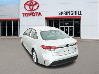 2026 Toyota Corolla - Photo 6