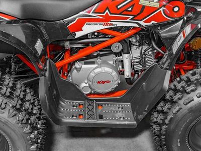 2025 Kayo Predator 125 EFI - Photo 10
