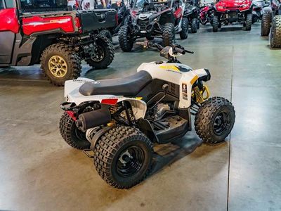 2025 Can-Am Renegade 70 EFI - Photo 4