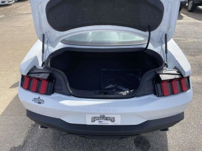 2026 Ford Mustang — photo 10 view