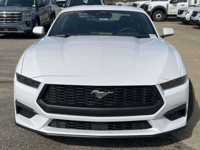 2026 Ford Mustang — photo 8 view