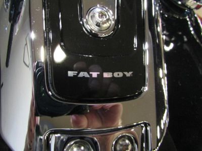 2025 Harley-Davidson FLFB - Fat Boy - Photo 15