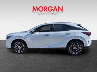 2025 Lexus RX — photo 7 view