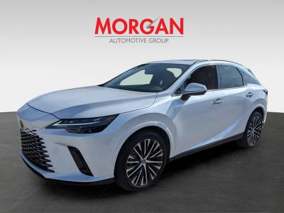 2025 Lexus RX — photo 8 view