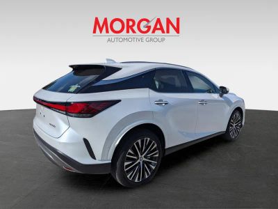 2025 Lexus RX — interior view