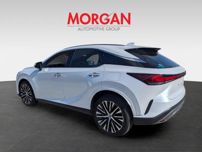 2025 Lexus RX — engine compartment view
