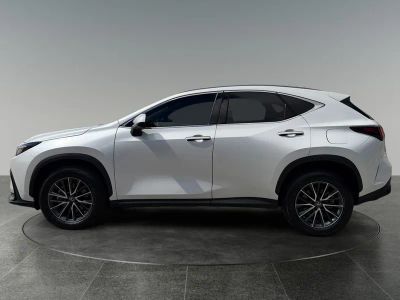 2023 Lexus NX — detail view