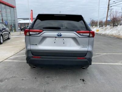 2024 Toyota RAV4 Hybrid XLE - Photo 6
