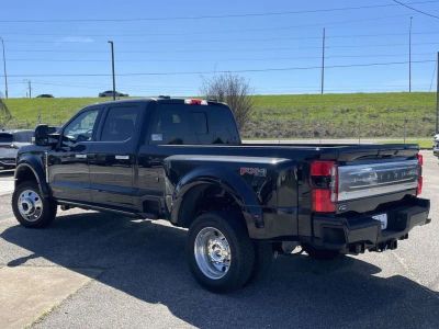 2026 Ford Super Duty - Photo 5