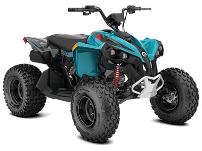 2026 Can-Am Renegade 110 EFI - Photo 1