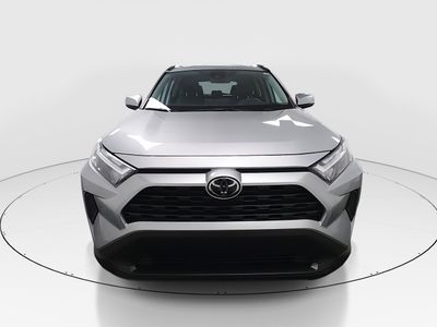 2024 Toyota RAV4 - Photo 2