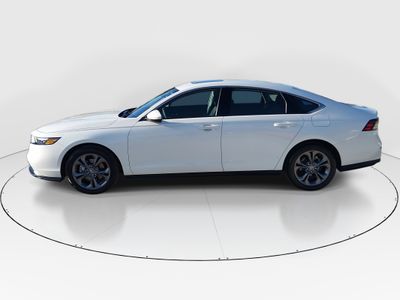 2024 Honda Accord Sedan - Photo 4