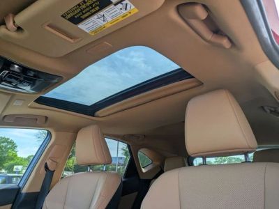 2024 Lexus NX — photo 13 view