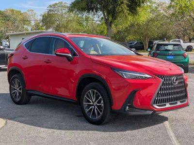 2024 Lexus NX — photo 7 view