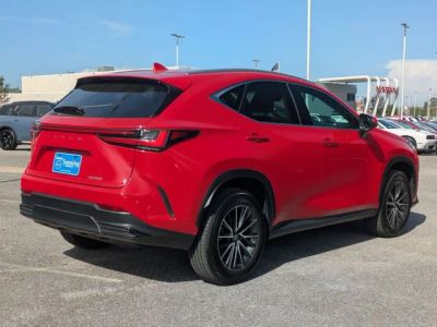 2024 Lexus NX — detail view