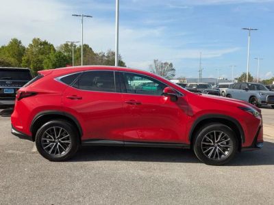 2024 Lexus NX — engine compartment view