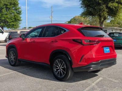 2024 Lexus NX — rear three-quarter view