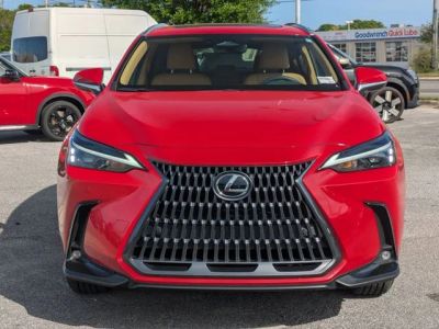 2024 Lexus NX — photo 8 view