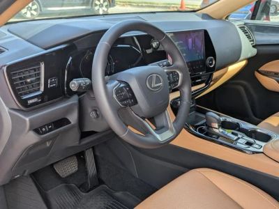 2024 Lexus NX — photo 27 view