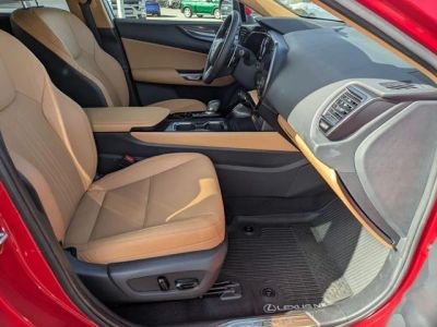 2024 Lexus NX — photo 22 view