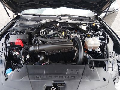 2024 Ford Mustang - Photo 9