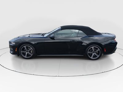 2024 Ford Mustang - Photo 4