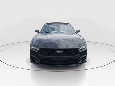 2024 Ford Mustang - Photo 2