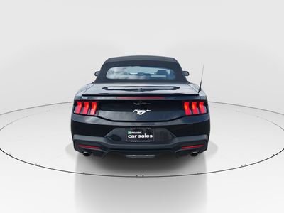2024 Ford Mustang - Photo 6