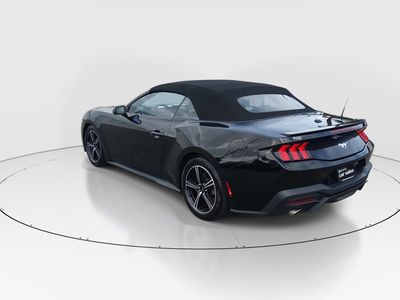 2024 Ford Mustang - Photo 5