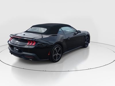 2024 Ford Mustang - Photo 7
