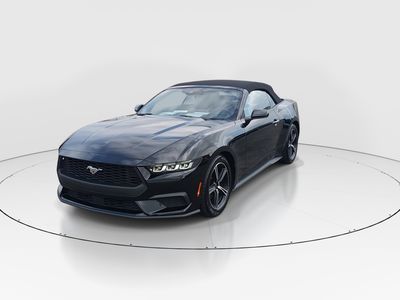 2024 Ford Mustang - Photo 3