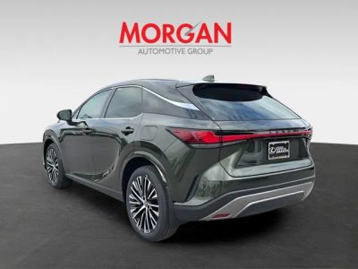 2026 Lexus RX — detail view