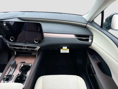 2026 Lexus RX — photo 19 view