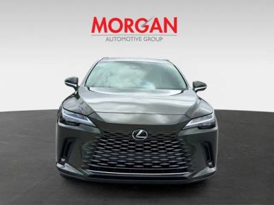 2026 Lexus RX — photo 8 view