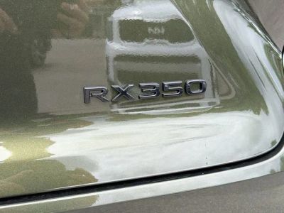 2026 Lexus RX — photo 11 view