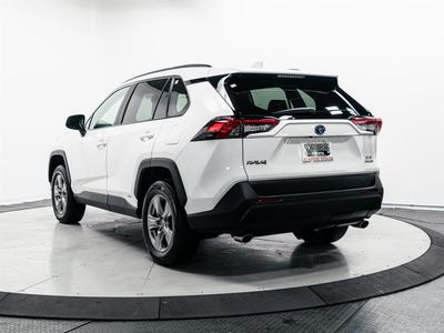 2024 Toyota RAV4 Hybrid - Photo 8