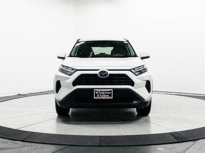 2024 Toyota RAV4 Hybrid - Photo 2