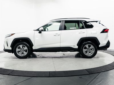 2024 Toyota RAV4 Hybrid - Photo 7