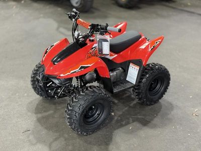 2025 Kayo Fox / Storm 70 - Photo 2