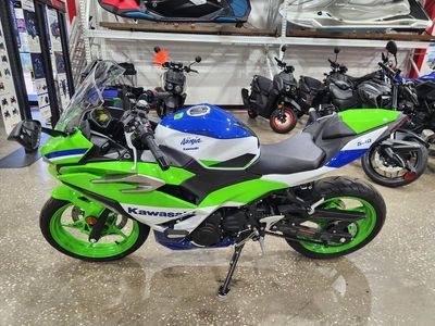 2024 Kawasaki Ninja 500 SE 40th Anniversary Edition ABS — detail view