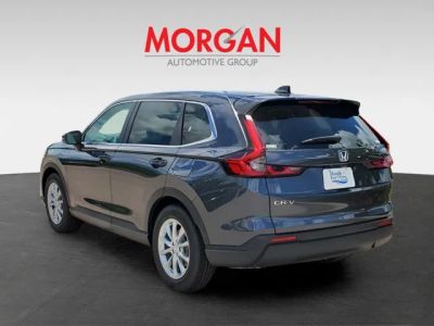 2026 Honda CR-V — photo 7 view