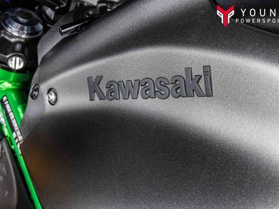 2024 Kawasaki Z900 SE ABS - Photo 22