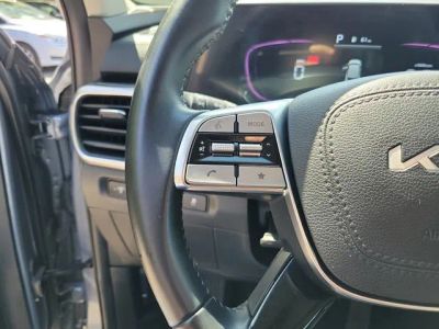 2025 Kia Telluride — photo 15 view